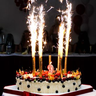 Cake Candles (2 pieces)