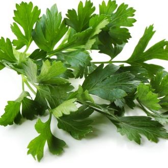 Cilantro (Bunch)