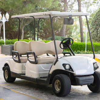 Golf Carts