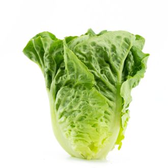 Lettuce (piece)