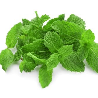 Mint (Bunch)